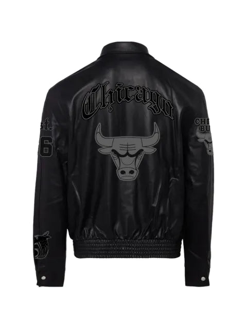Jeff Hamilton chicago bulls varsity bomber jacket