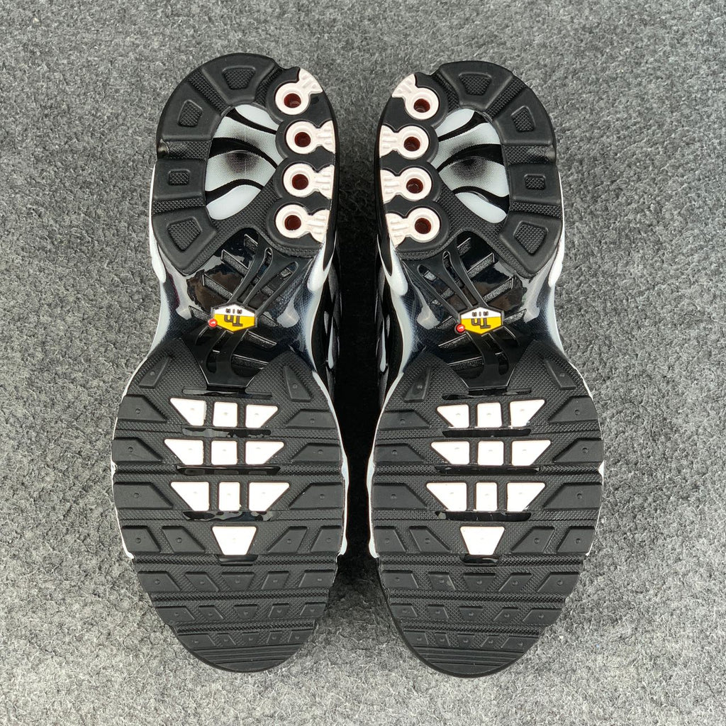Air Max Plus 'Black Metallic Silver'