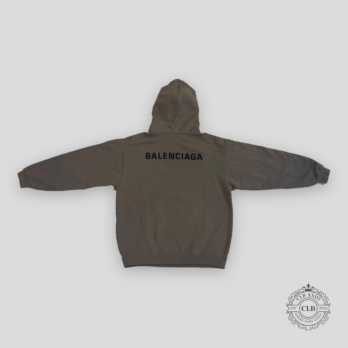 Balenciaga Medium Fit Logo Hoodie in Light Brown