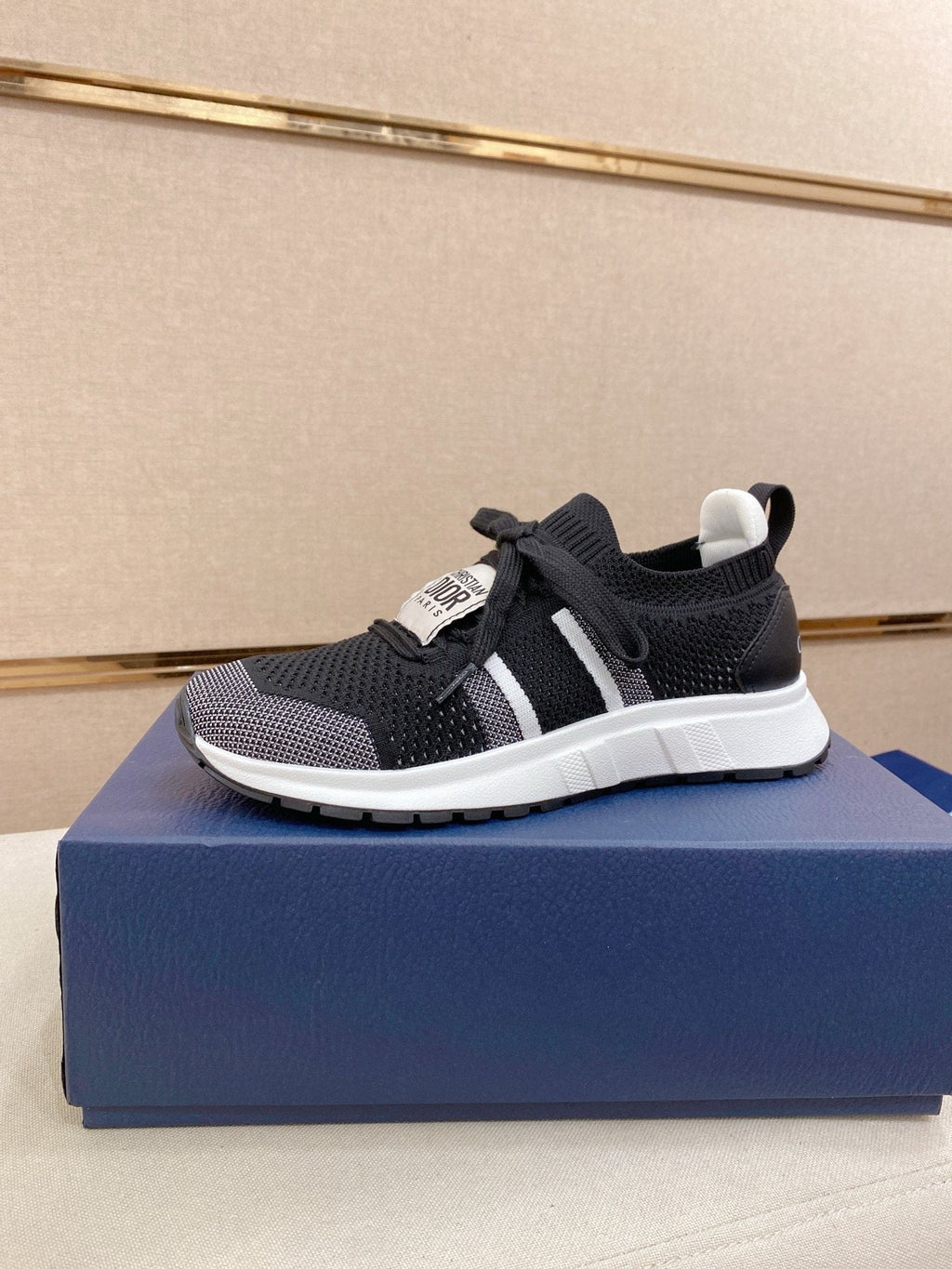 Dior B30 Mesh Sneakers